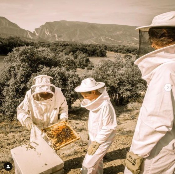 Experiència apícola personalitzada en plena natura i amb vistes privilegiades al Congost de Mont-rebei, al Montsec d'Ares, al Montsec de l'Estall i la Terreta.